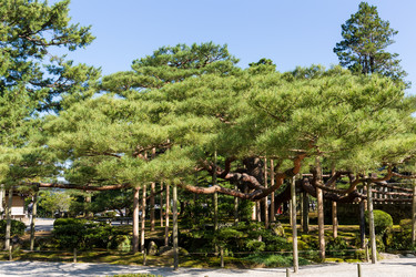 Similar image 13225985