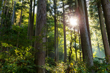 Similar image 13226887