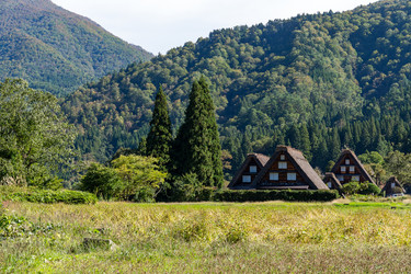 Similar image 13227098