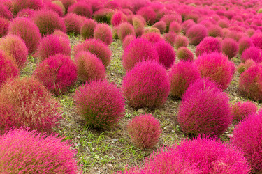 Similar image 13227959