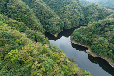 Similar image 13228038