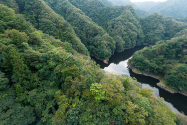 Similar image 13228075