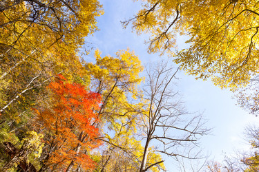 Similar image 13224685