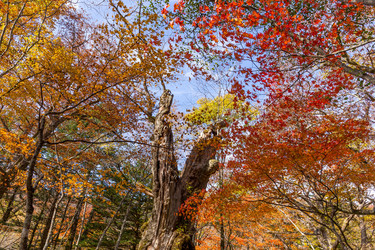 Similar image 13224885