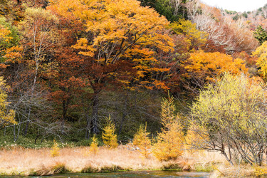 Similar image 13224904