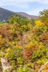 Similar image 13224964