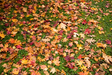 Similar image 13225085