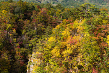 Similar image 13224846