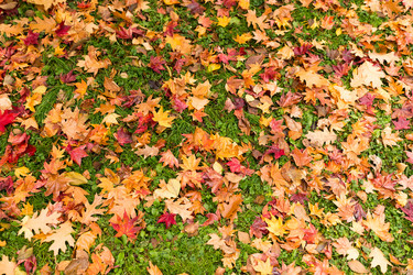 Similar image 13224847