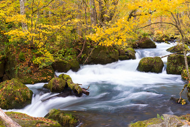 Similar image 13225224