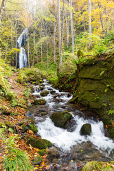 Similar image 13226343