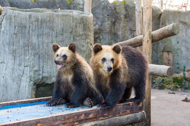 Similar image 13225891