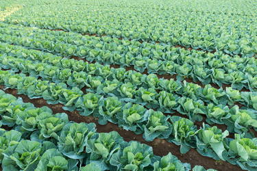 Similar image 13227669