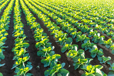 Similar image 13227688