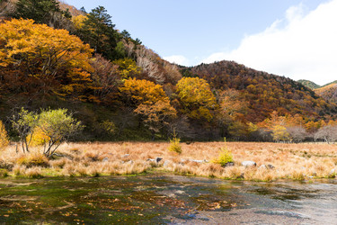 Similar image 13227831