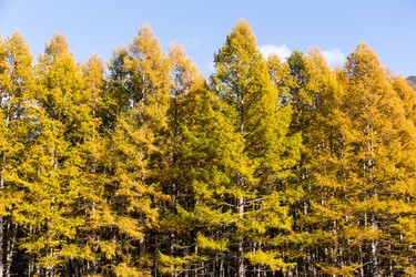 Similar image 13227843