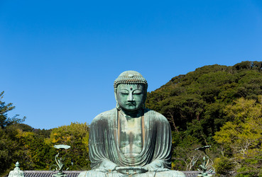 Similar image 13228022