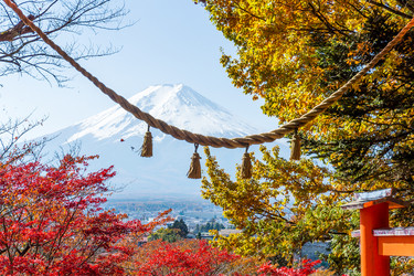 Similar image 13226842