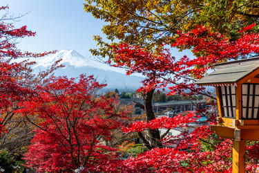 Similar image 13226442