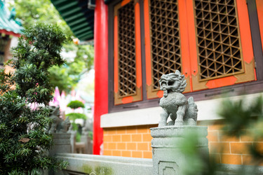 Similar image 13226935