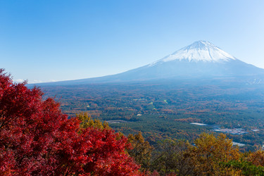 Similar image 13227587