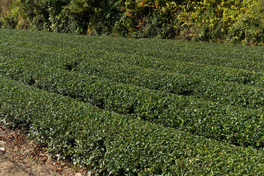 Similar image 13227926