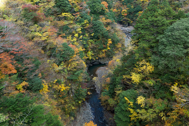 Similar image 13227927