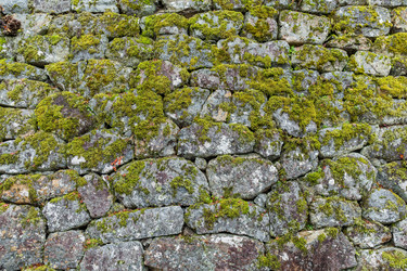 Similar image 13228025