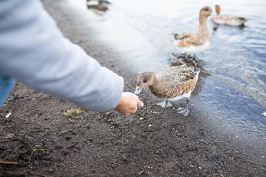 Similar image 13228052