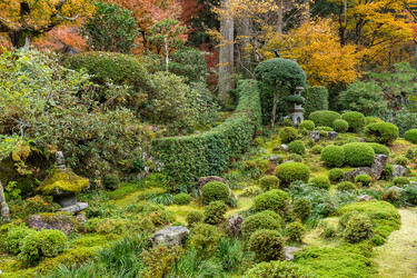 Similar image 13225540