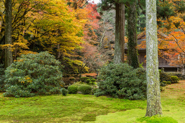 Similar image 13225122