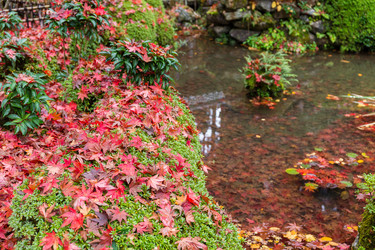 Similar image 13225170