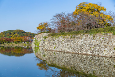 Similar image 13225813