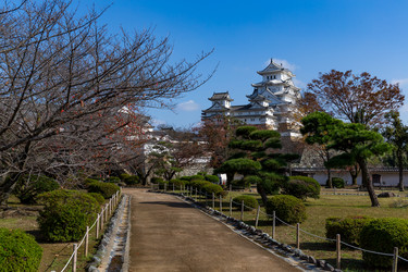 Similar image 13225849