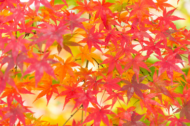 Similar image 13225894