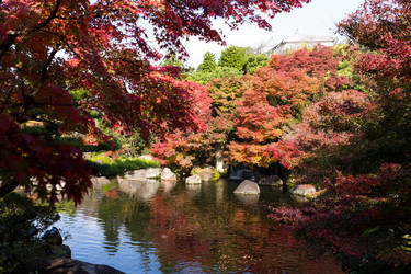 Similar image 13225953