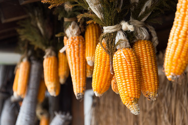 Similar image 13224988