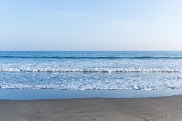 Similar image 13225776