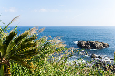 Similar image 13225827