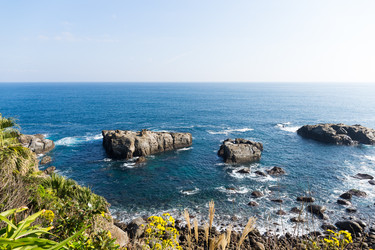 Similar image 13225835