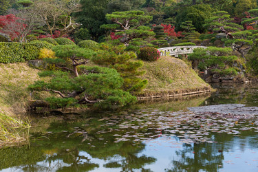 Similar image 13225966