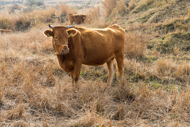 Similar image 13226823