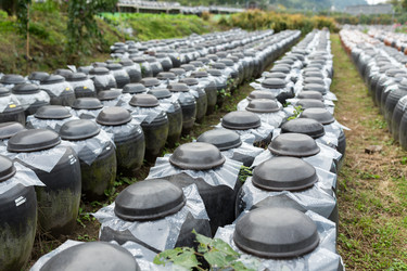 Similar image 13226446