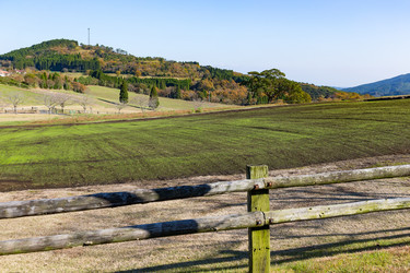 Similar image 13226938