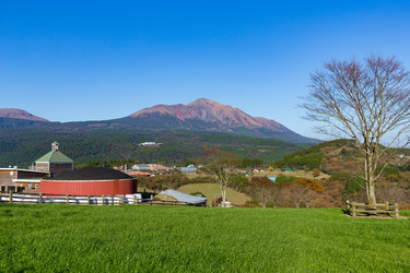 Similar image 13227106