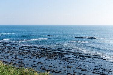 Similar image 13227120