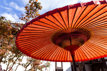 Similar image 13227856