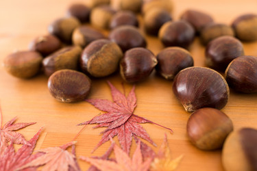 Similar image 13228100