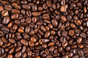 Similar image 13224770