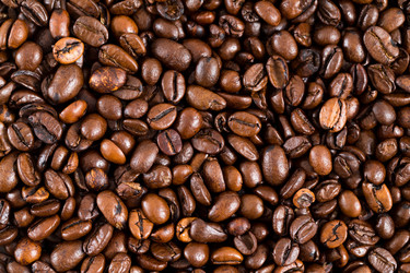 Similar image 13224771